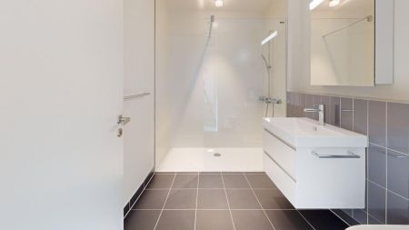 3.5-Zimmer Neubau-Erstbezug am Fusse des Uetlibergs - Foto 3