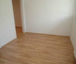 Leißnerstr. 24, Wohnung 1 ~~~ Einbauküche vom Vormieter gegen Entge... - Photo 1