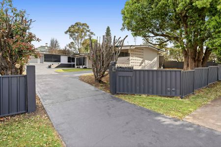 2/172 Jellicoe Street, NEWTOWN - Photo 3