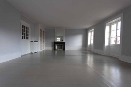 Appartement de 135m2 au cœur du Vieux-Carouge - Foto 3
