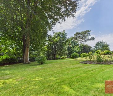 1 bedroom ground floor flat to rent - Photo 2