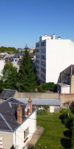 Location Appartement 1 pièce 28m² ORLEANS 45000 - Photo 3