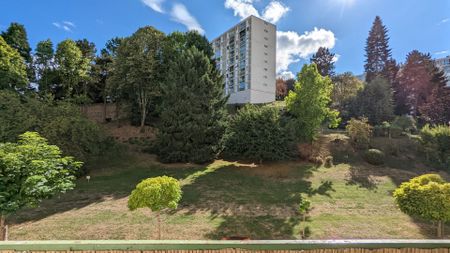 PROCHE CHU, T3 meublé de 62.73 m² avec balcon, parking, cave ! CHAUFFAGE COLLECTIF - Photo 4