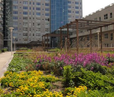 Koningin Wilhelminaplein 224 - 1062 KS Amsterdam - Photo 6