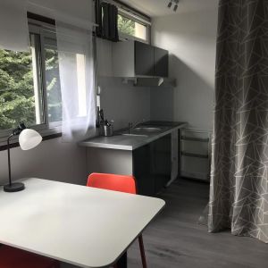 Location Appartement 1 pièce 20m² - Photo 2