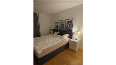 2½ Zimmer-Wohnung in Sisseln (AG), möbliert, auf Zeit - Photo 4