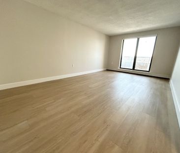 For Lease - 82 Millside Drive Unit# 1010, Milton, Ontario - Photo 4