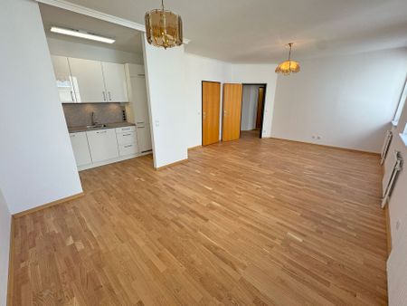 Stockerau Zentrum – renovierte 2-Zimmer-Wohnung – 63 m² - Photo 2