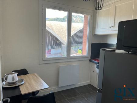 Location Appartement 1 pièce 30m² GRENOBLE 38000 - Photo 5