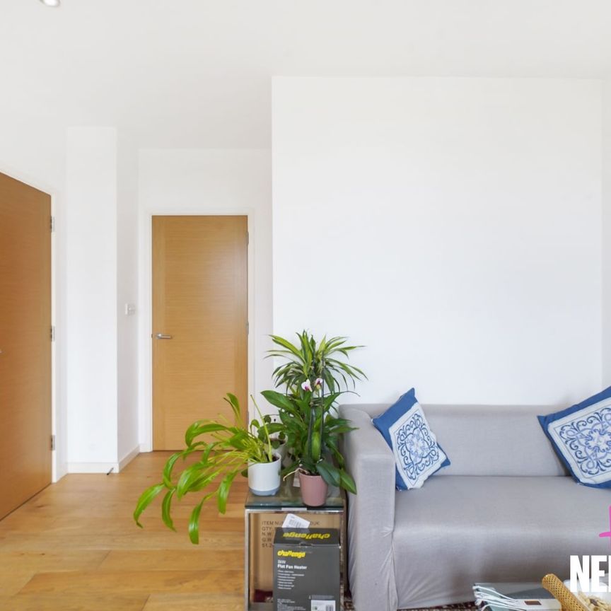 20 Canning Road - Photo 1