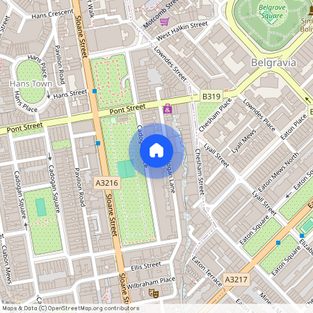 Cadogan Place, London SW1X