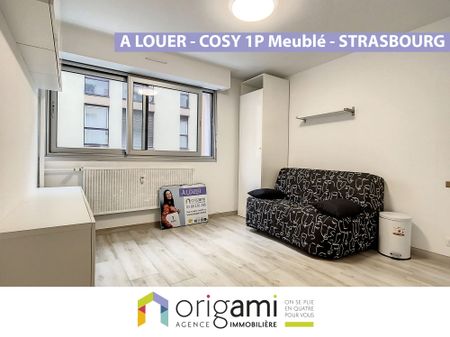 Location Appartement 1 pièce 17m² STRASBOURG 67000 - Photo 4