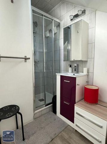 Location Appartement 1 pièce 14m² GRENOBLE 38000 - Photo 4