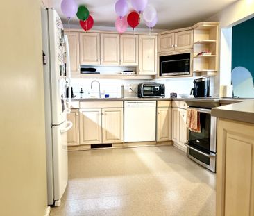 For Lease - 201 Augusta Street, Lower Town - Sandy Hill, Ontario - Photo 5