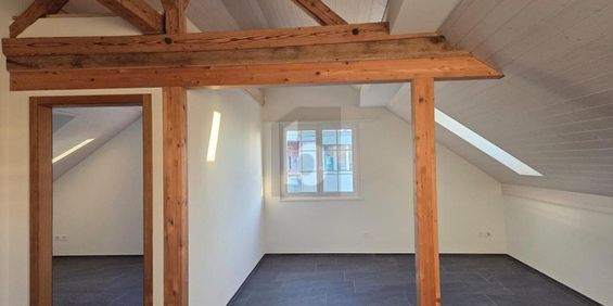 NEU, HISTORISCH, GROSSER GARTEN ZUR MITBENUTZUNG - Photo 3