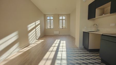 Magnifique T3 entièrement rénové avec ascenseur - Photo 3