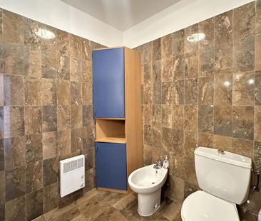 Location Appartement 1 pièce Meublé 35m² ROQUEBRUNE CAP MARTIN 06190 - Photo 5