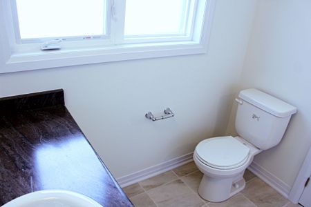 For Lease - 29 Greig Street, Brantford, Ontario - Photo 5