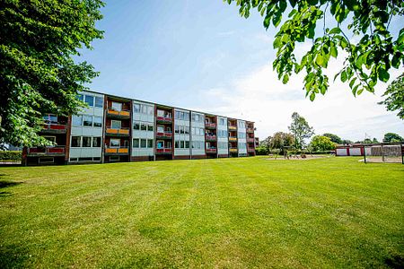 Egevej, 3, 2.tv., 6330, Padborg - Photo 2