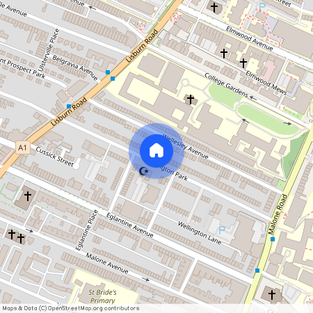 Apt 3 41 Wellington Park, BELFAST, BT9 6DN