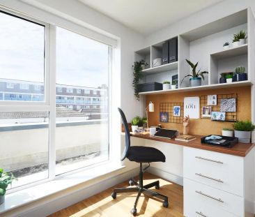 Premium Plus Studio - Photo 4