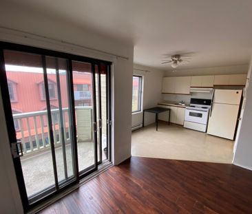 Le 443 Sainte-Anne, St-Hyacinthe - Photo 3