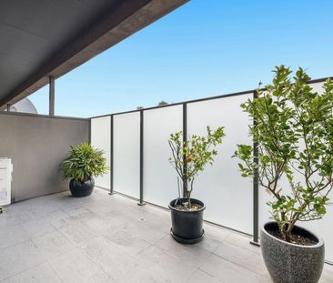 LIGHT FILLED APARTMENT WITH TWO OUTDOOR RETREATS - FLEXIBLE LEASE T... - Photo 4