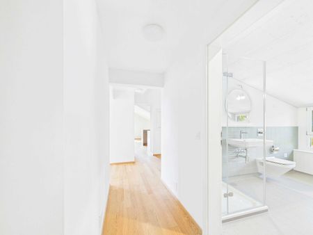 Sehr grosszügige, lichtdurchflutete, frisch renovierte Dachwohnung - Foto 4