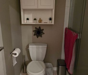 3-21491 Dewdney Trunk Road, Maple Ridge - Photo 3