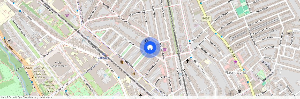 Miskin Street, CF24 4AQ, Cathays
