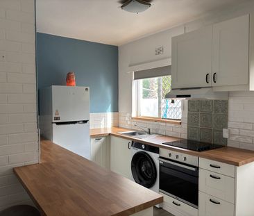 Coastal living - Private Courtyard and Pet Friendly! - Photo 4