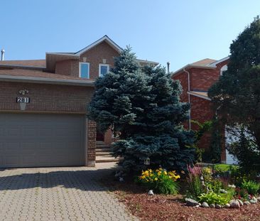 For Lease - 281 Weldrick Road Unit# Bsmt, Richmond Hill, Ontario - Photo 4