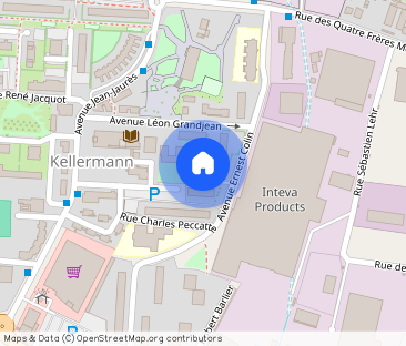 TYPE 5 SAINT-DIE-DES-VOSGES - Photo 1