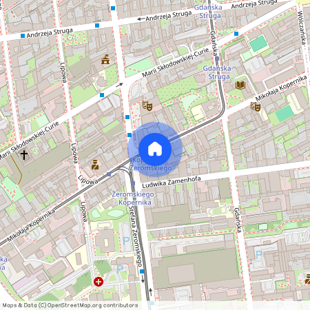 ul. Mikołaja Kopernika, Stare Polesie, Polesie, Łódź, łódzkie