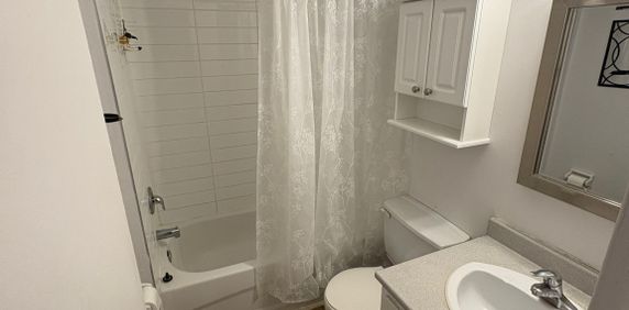 Studio Avec Antre-Idéal Pour étudiant! - Photo 2