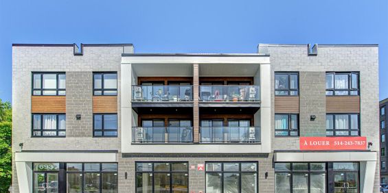 Appartement Mercier À Louer - Photo 3