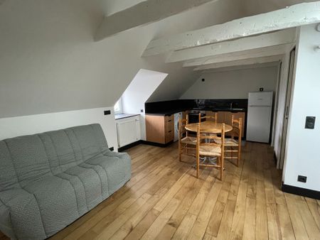 Location Appartement 1 pièce 18m² - Photo 4