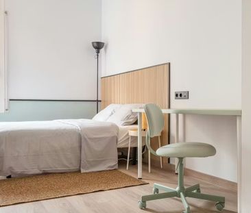 Carrer del Consell de Cent, Barcelona, Catalonia 08011 - Photo 4