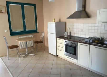 Apartament do wynajęcia, 2 pok. w pełni wyposażone - Zdjęcie 2