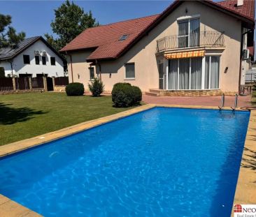 IANCU NICOLAE, S+P+1, 6 CAMERE, 410 MP, PISCINA, CURTE SUPERBA! - Fotografie 1