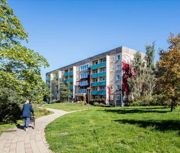 Altersfreundlich mit Aufzug! 1-Zimmer-Wohnung mit Balkon im EG - Photo 6