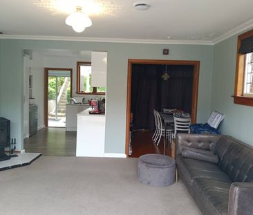 84 Kawai Street, Nelson South, Nelson - Photo 6