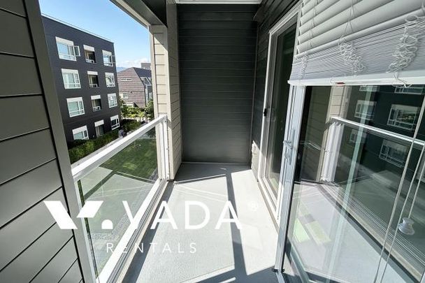 Unfurnished, Pet Friendly, 1 Bed 1 Bath Apartment For Rent - Photo 1