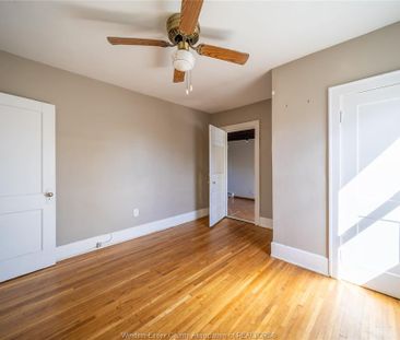 For Lease - 984 WINDERMERE Road, Windsor, Ontario - Photo 5