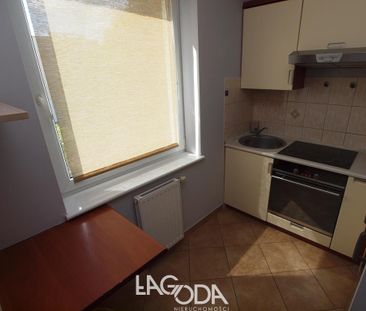 Gorzów Wielkopolski - Zdjęcie 4