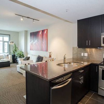 One-bedroom, furnished luxury condo for rent - Photo 1