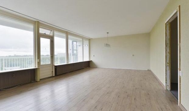 Perim 0ong, 1503 Zaandam, Nederland - Foto 1