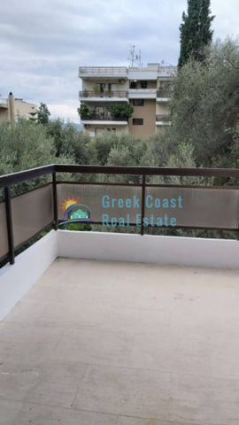 Studio/Γκαρσονιέρα για ενοικίαση Σύνορα - Αστυνομικά - Νοσοκομείο (Πάτρα) - Photo 3