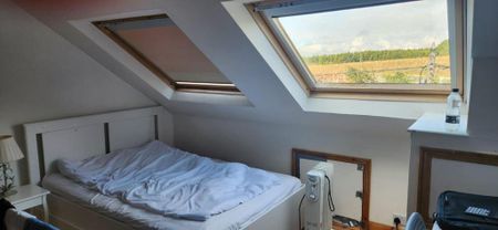 2 bedroom private hall to rent - Photo 4