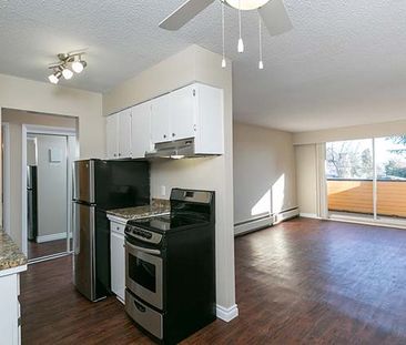 The Westport Apartments - 1 Bedroom - Photo 6